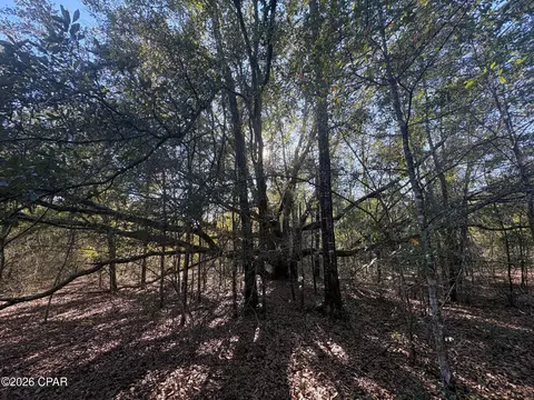 lot55 Owl Ct, Marianna, FL 32448