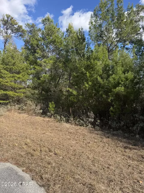 0000 Jamaica Cir, Chipley, FL 32428