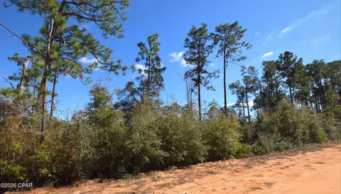 Nnn Fairborn Avenue, Alford, FL 32420