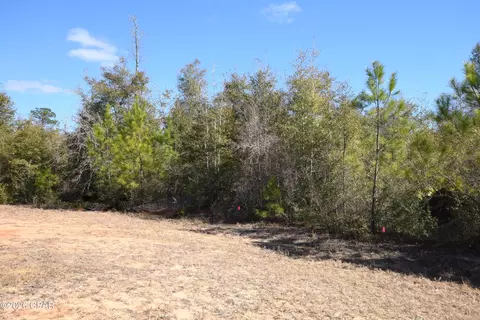 Nnn Spirit Court, Alford, FL 32420