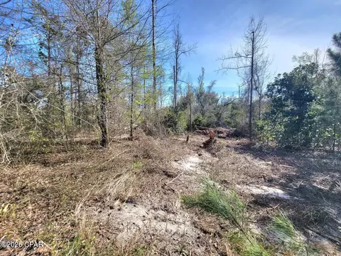 tbd Hwy 90, Sneads, FL 32460 photo 3