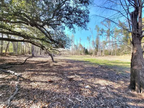 tbd Hwy 90, Sneads, FL 32460