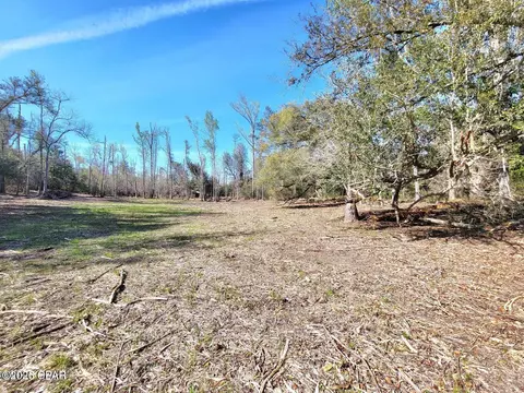 tbd Hwy 90, Sneads, FL 32460 photo 4