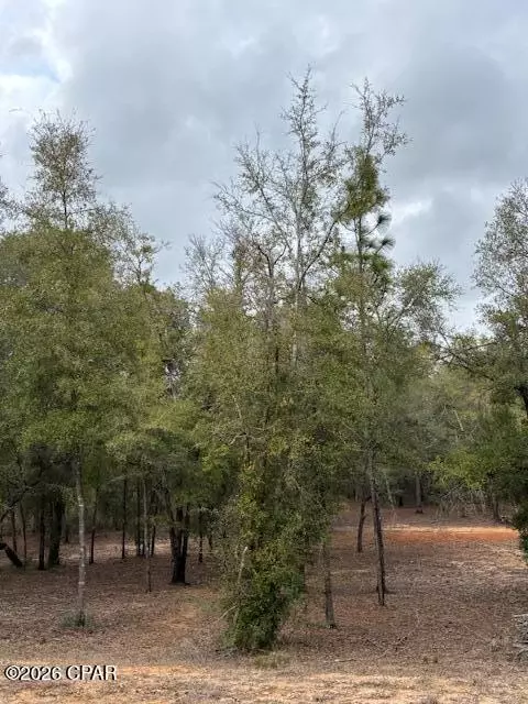 2816 Territory Rd, Chipley, FL 32428 photo 8