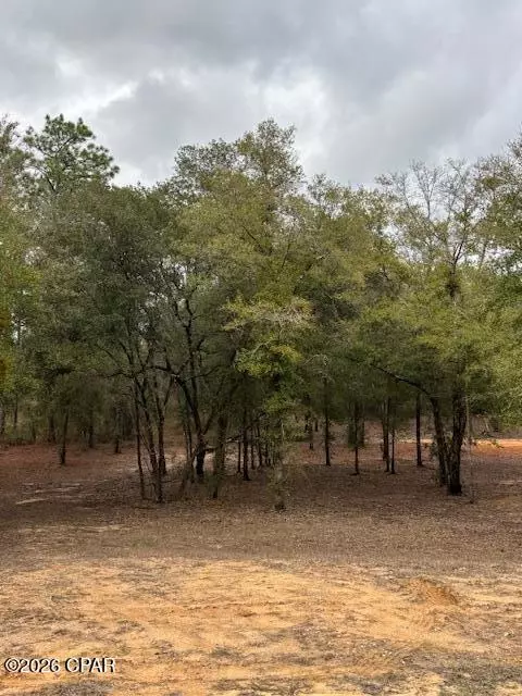 2816 Territory Rd, Chipley, FL 32428 photo 5