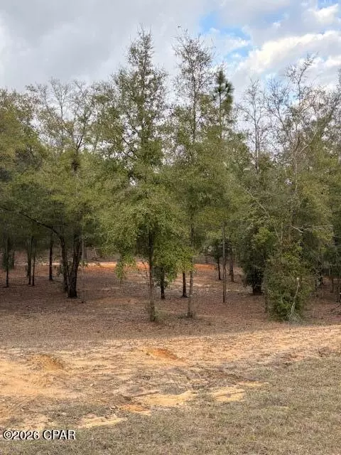 2816 Territory Rd, Chipley, FL 32428 photo 6