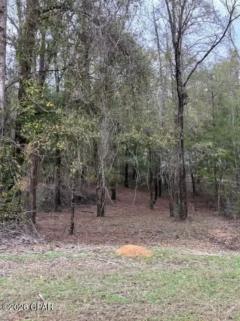 2816 Territory Rd, Chipley, FL 32428 photo 10