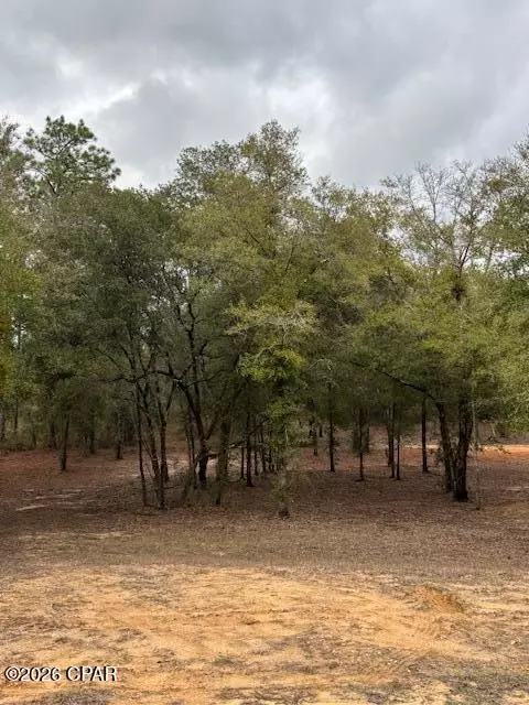 2816 Territory Rd, Chipley, FL 32428 photo 5