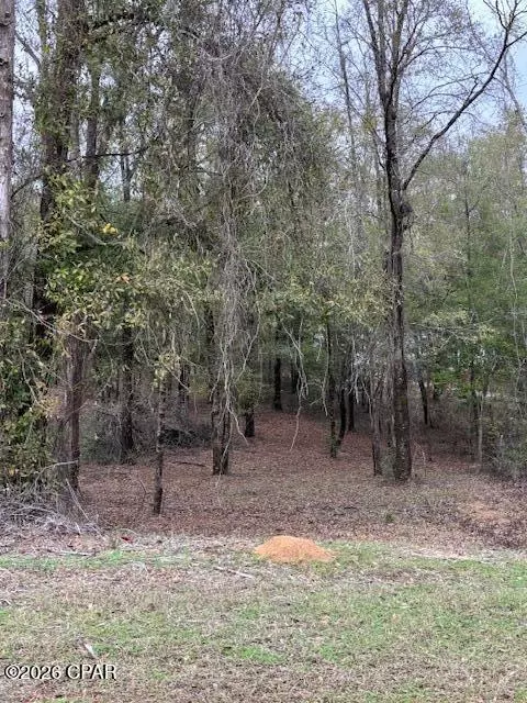 2816 Territory Rd, Chipley, FL 32428 photo 10