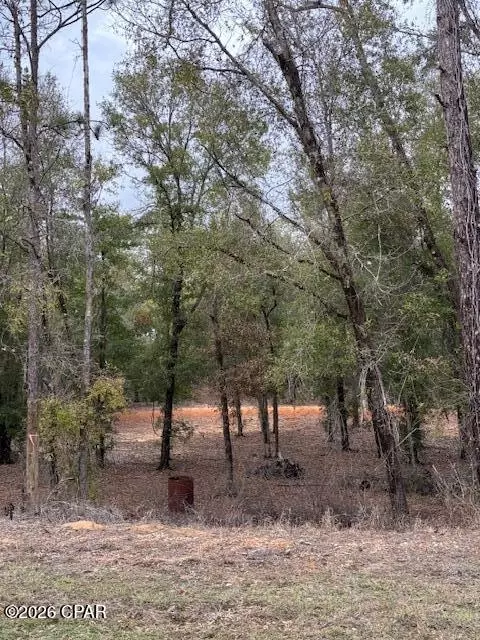 2816 Territory Rd, Chipley, FL 32428 photo 9