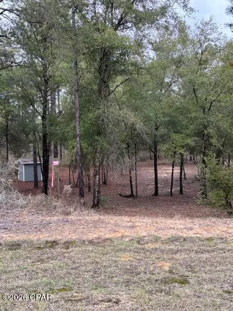 2816 Territory Rd, Chipley, FL 32428 photo 4