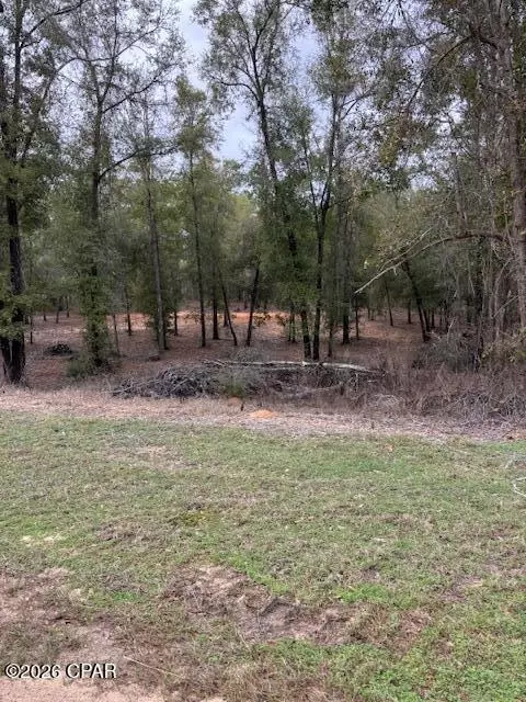 2816 Territory Rd, Chipley, FL 32428 photo 1