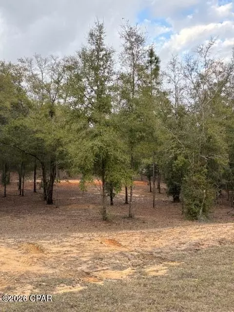 2816 Territory Rd, Chipley, FL 32428 photo 6