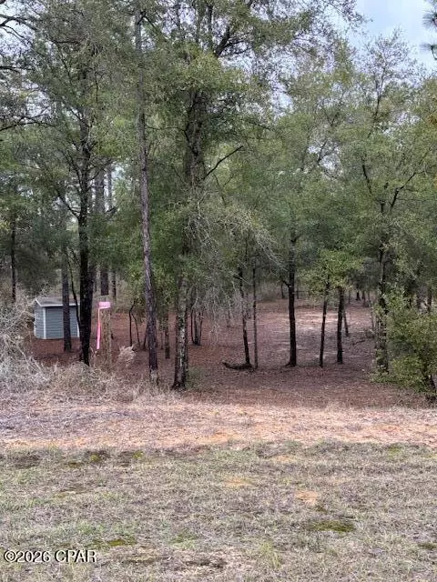 2816 Territory Rd, Chipley, FL 32428 photo 4