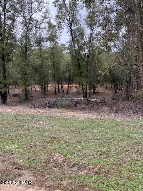 2816 Territory Rd, Chipley, FL 32428