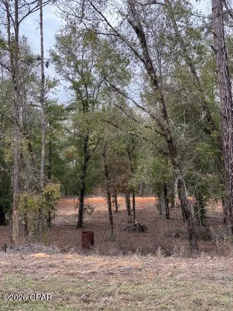 2816 Territory Rd, Chipley, FL 32428 photo 9
