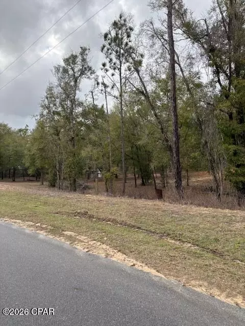 2816 Territory Rd, Chipley, FL 32428 photo 2