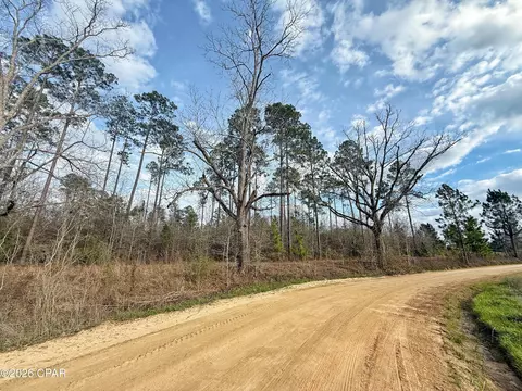 00 Palmview Ln, Cottondale, FL 32431 photo 5