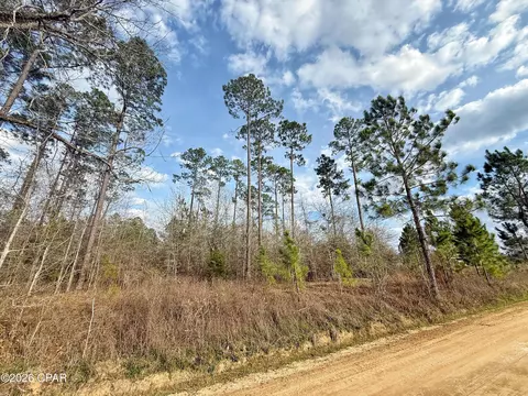 00 Palmview Ln, Cottondale, FL 32431 photo 3