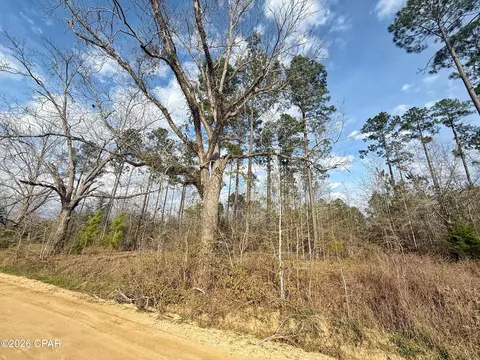 00 Palmview Ln, Cottondale, FL 32431 photo 2