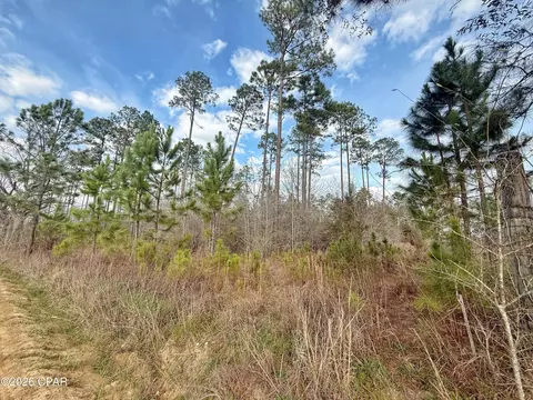 00 Palmview Ln, Cottondale, FL 32431
