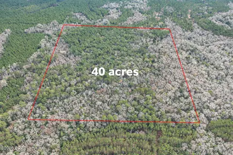 00 Clemmons Rd, Bonifay, FL 32425