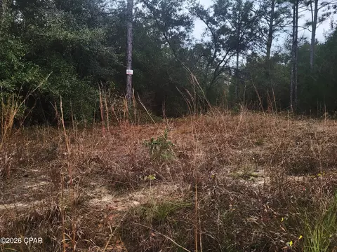00 Chason Rd, Marianna, FL 32448