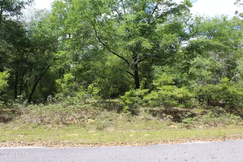 lot5 Arnone Ln, Chipley, FL 32428