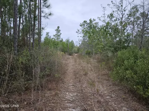 0000 Singer, Youngstown, FL 32466