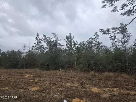0000 NW Cr 274, Altha, FL 32421