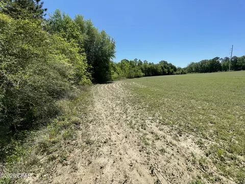 0000 Peanut Rd, Graceville, FL 32440