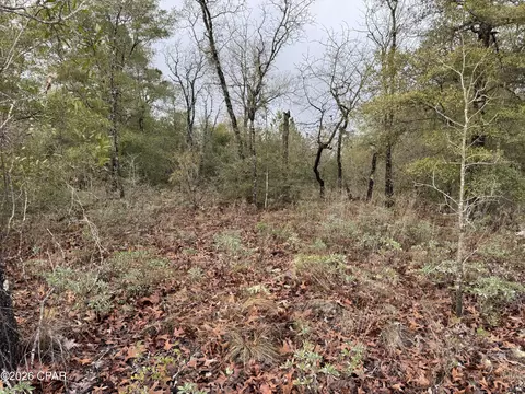lot45 Cavalier Dr, Chipley, FL 32428