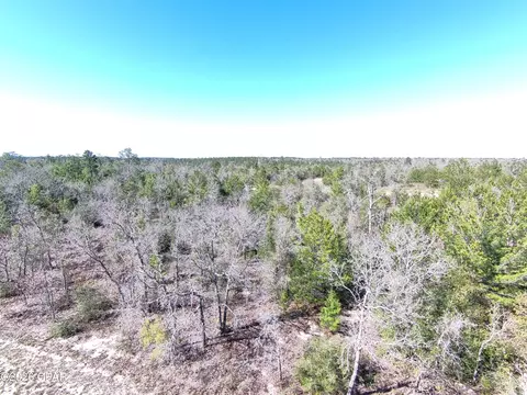 lot54 Dandelion Dr, Chipley, FL 32428
