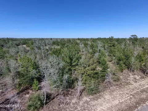 lot55 Dandelion Dr, Chipley, FL 32428