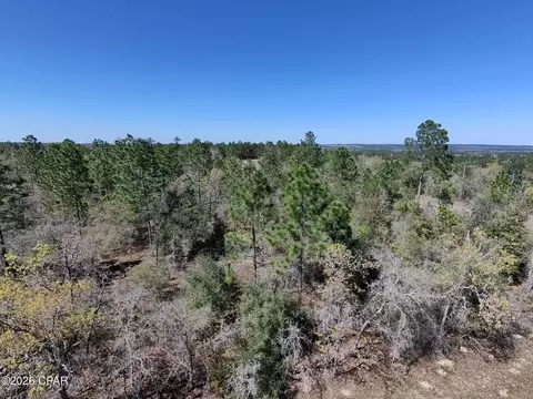 lot11 Laredo Dr, Chipley, FL 32428 photo 4