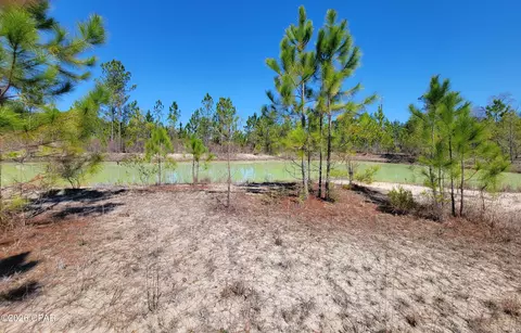 tbd City Square Rd, Alford, FL 32420