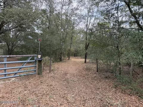 00 Pasofino Ln, Alford, FL 32420