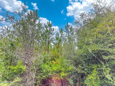 6418 Union Hill Road #BRYANT BAY, Caryville, FL 32427