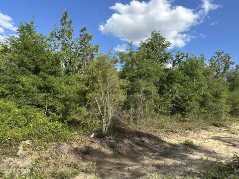 0000 NW Lakeside Ave #LOT 16 & 17, Altha, FL 32421