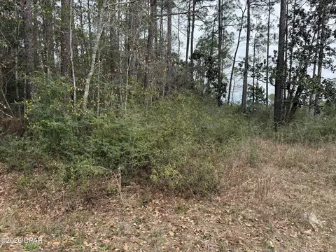 00 Petersen Point Rd, Milton, FL 32583 photo 6