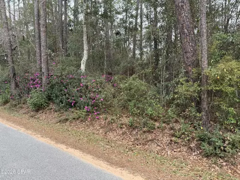 00 Petersen Point Rd, Milton, FL 32583 photo 2