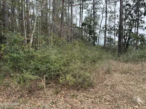 00 Petersen Point Rd, Milton, FL 32583 photo 7