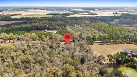 4890 Logan Loop, Malone, FL 32445 photo 45