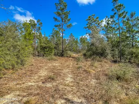 4303 NW Twin Ponds Rd, Altha, FL 32421 photo 11