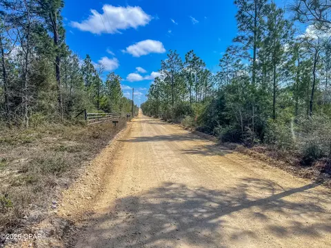 4303 NW Twin Ponds Rd, Altha, FL 32421 photo 8