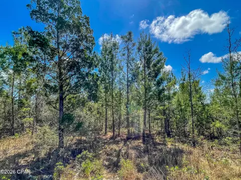 4303 NW Twin Ponds Rd, Altha, FL 32421 photo 13