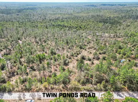 4303 NW Twin Ponds Rd, Altha, FL 32421 photo 2