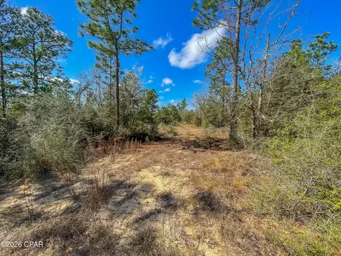 4303 NW Twin Ponds Rd, Altha, FL 32421 photo 9