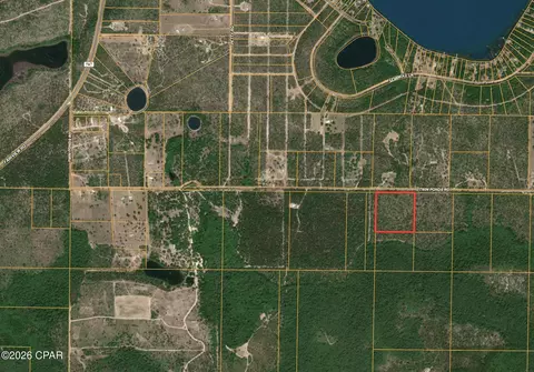 4303 NW Twin Ponds Rd, Altha, FL 32421 photo 20