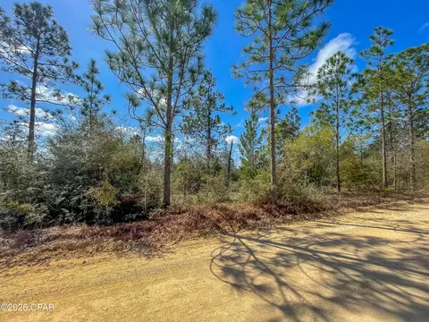 4303 NW Twin Ponds Rd, Altha, FL 32421 photo 7